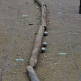 DSC 0263.JPG