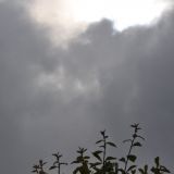 DSC 0356.JPG